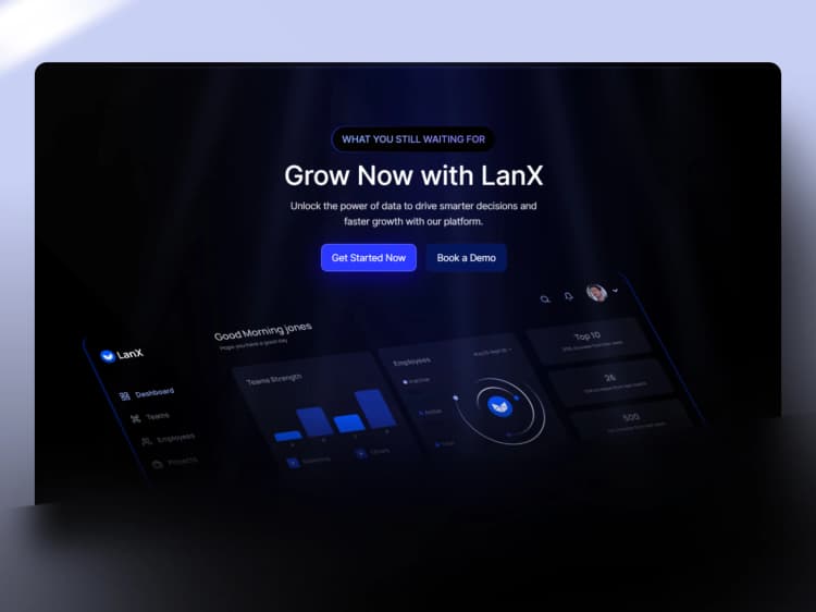 lanx-ai-saas-agency-landing-page